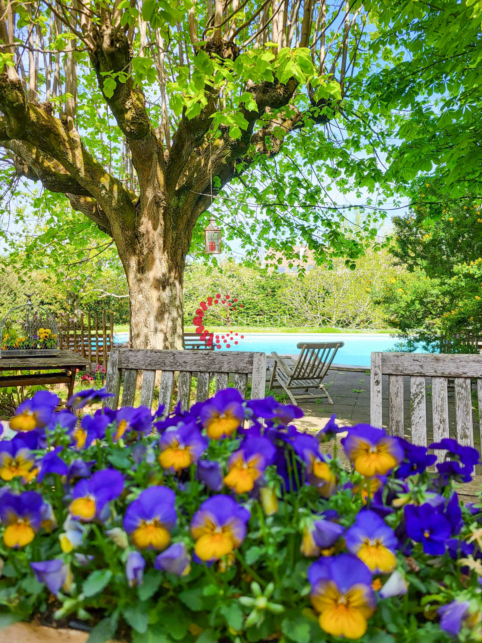 Image_1, Maison, Francheville Le Haut, ref :628