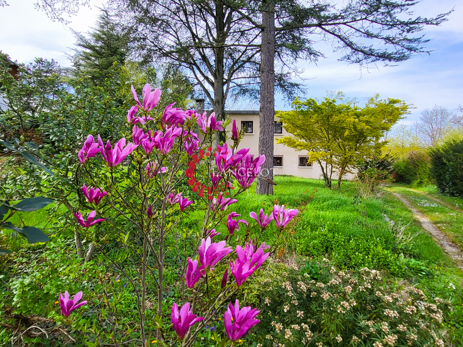 Image_5, Maison, Francheville, ref :761