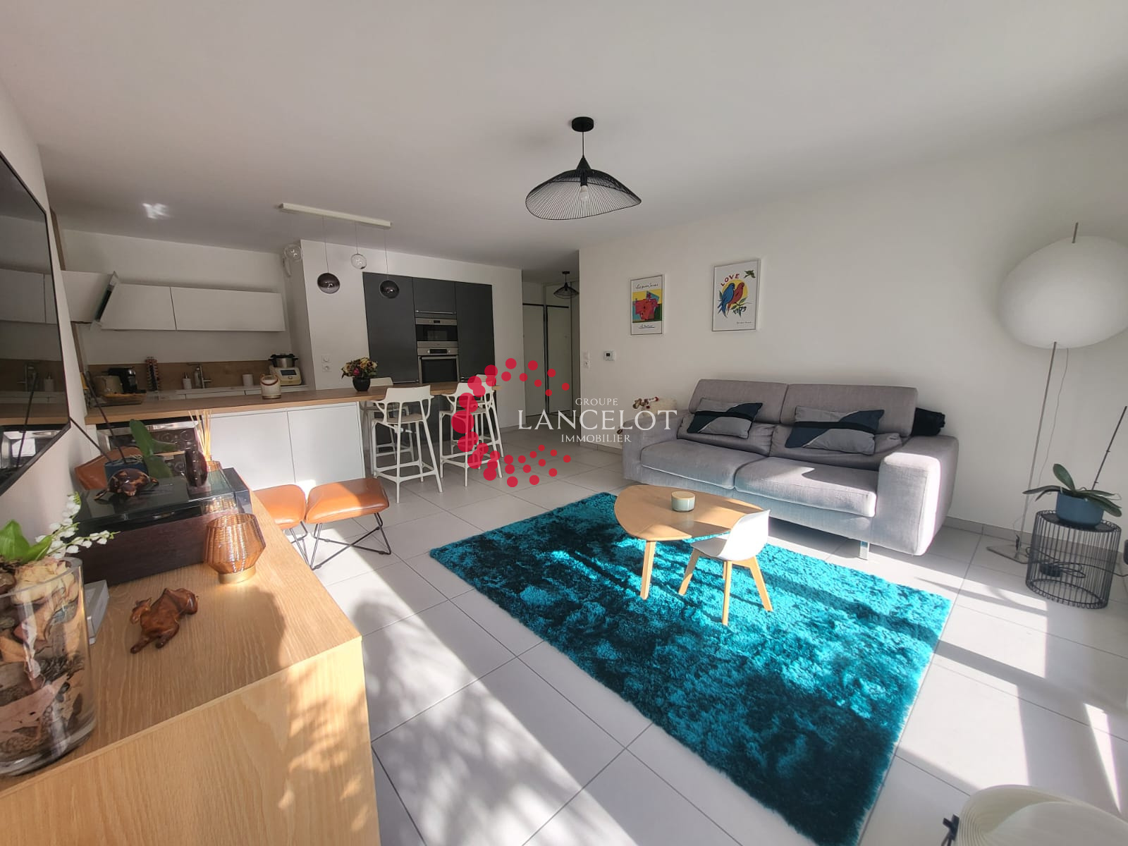 Image_2, Appartement, Sainte Foy lès Lyon, ref :741