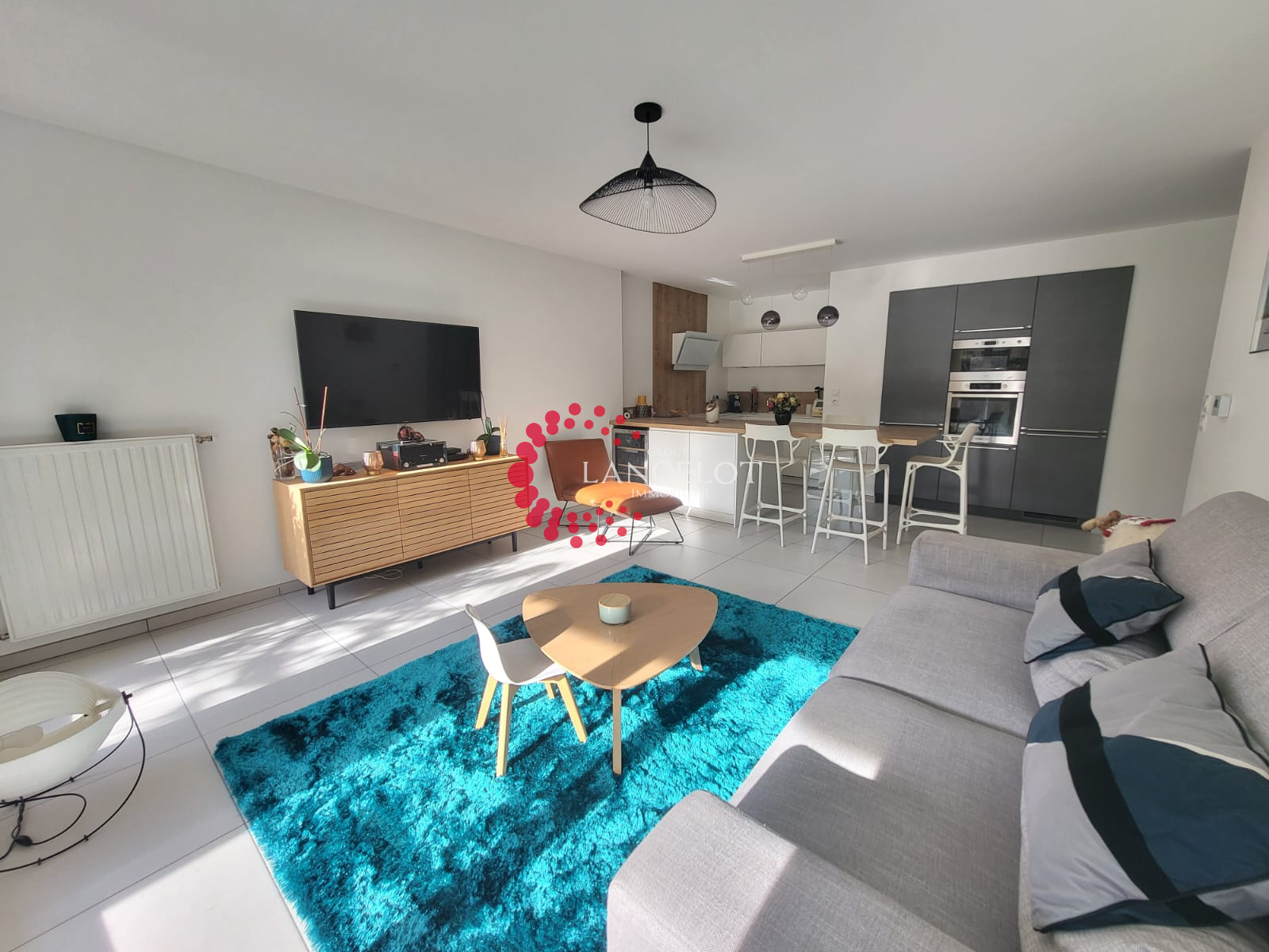 Image_4, Appartement, Sainte Foy lès Lyon, ref :741