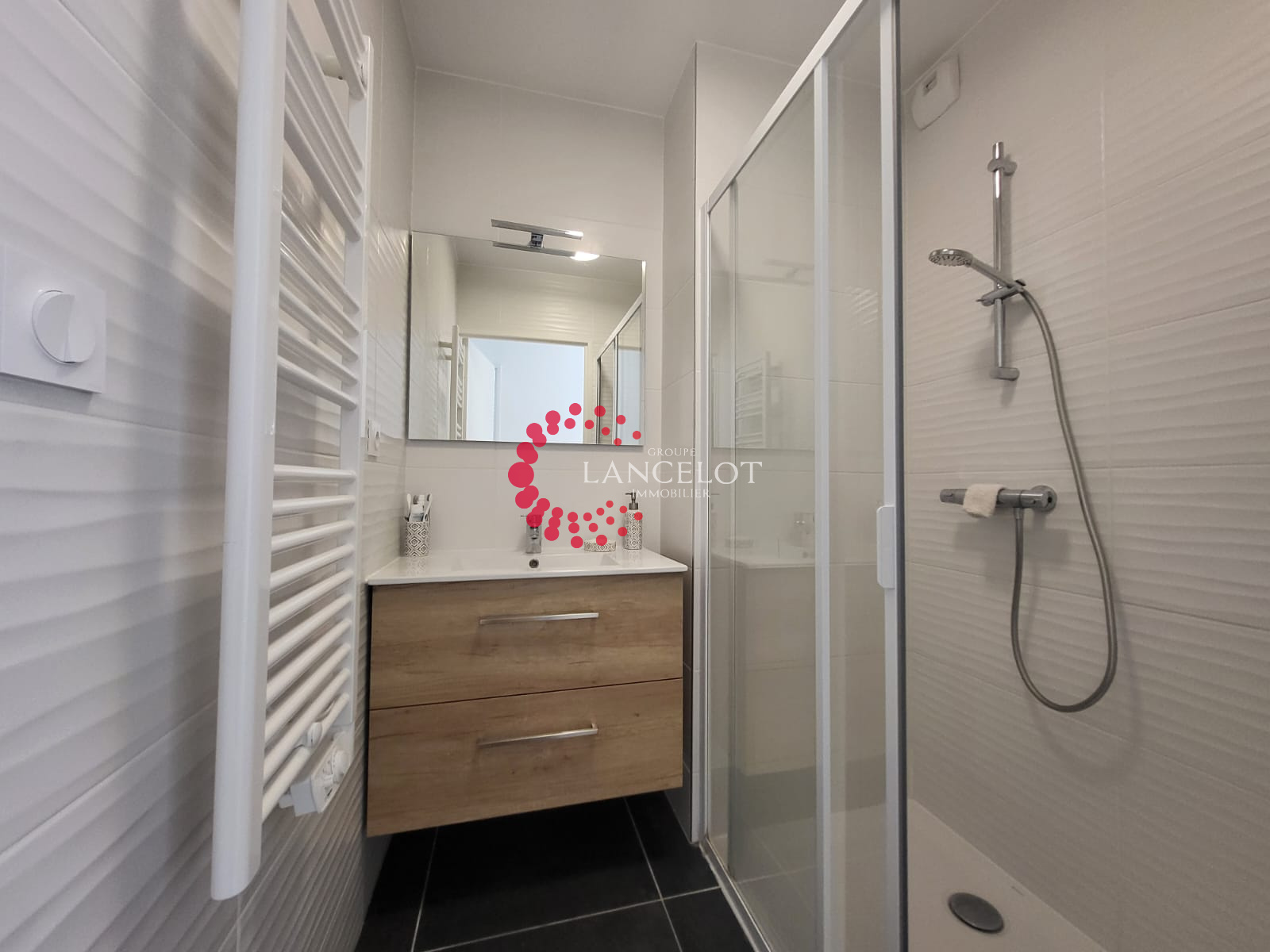 Image_10, Appartement, Sainte Foy lès Lyon, ref :741