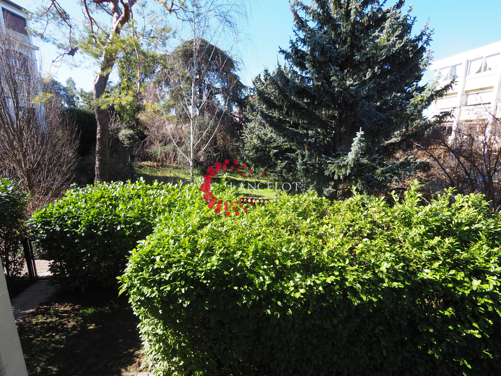 Image_9, Appartement, Lyon, ref :542