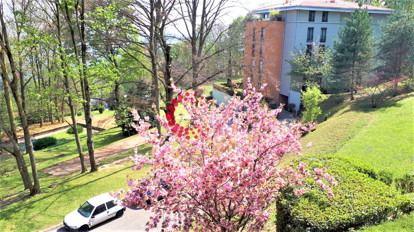 Image_2, Appartement, Sainte Foy lès Lyon, ref :452