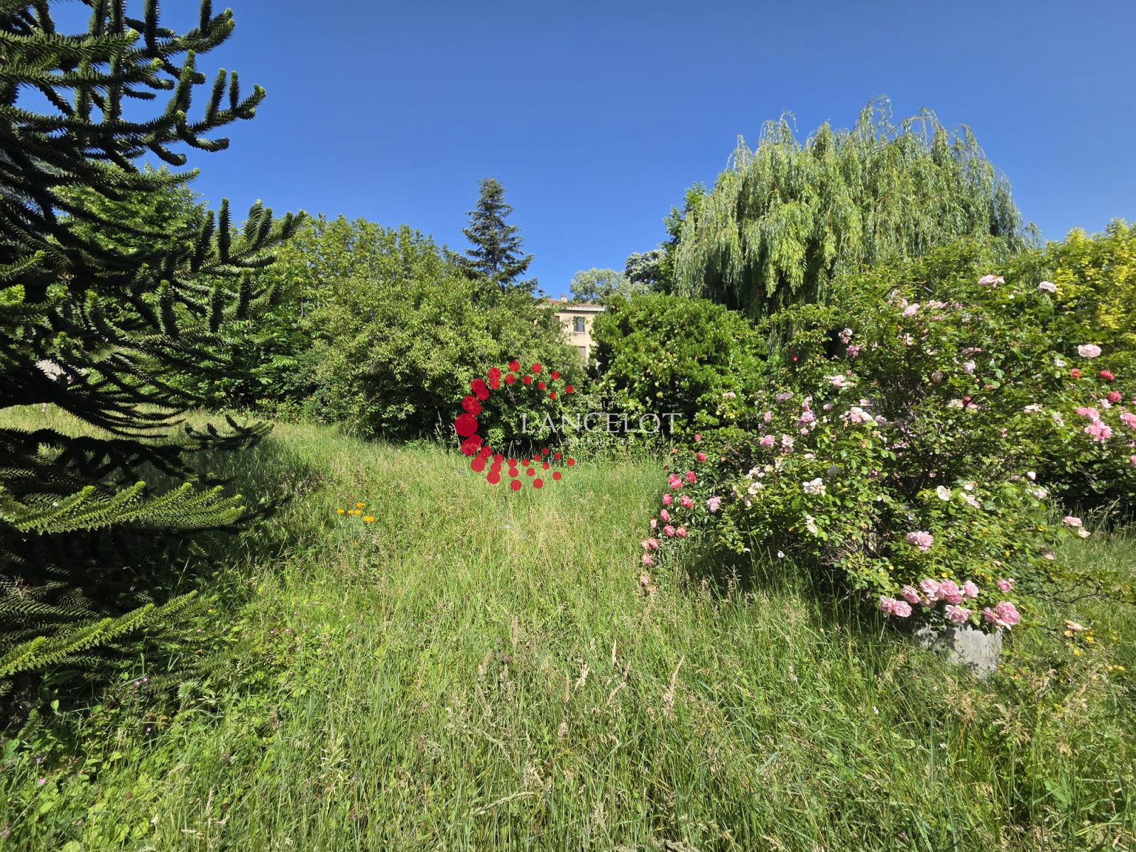 Image_3, Maison, Sainte Foy lès Lyon, ref :857
