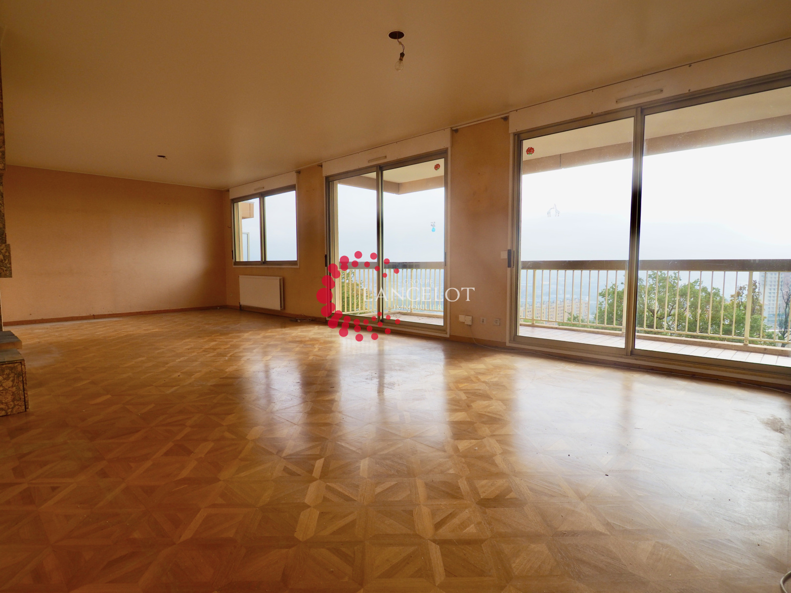 Image_5, Appartement, Sainte Foy lès Lyon, ref :FR387410