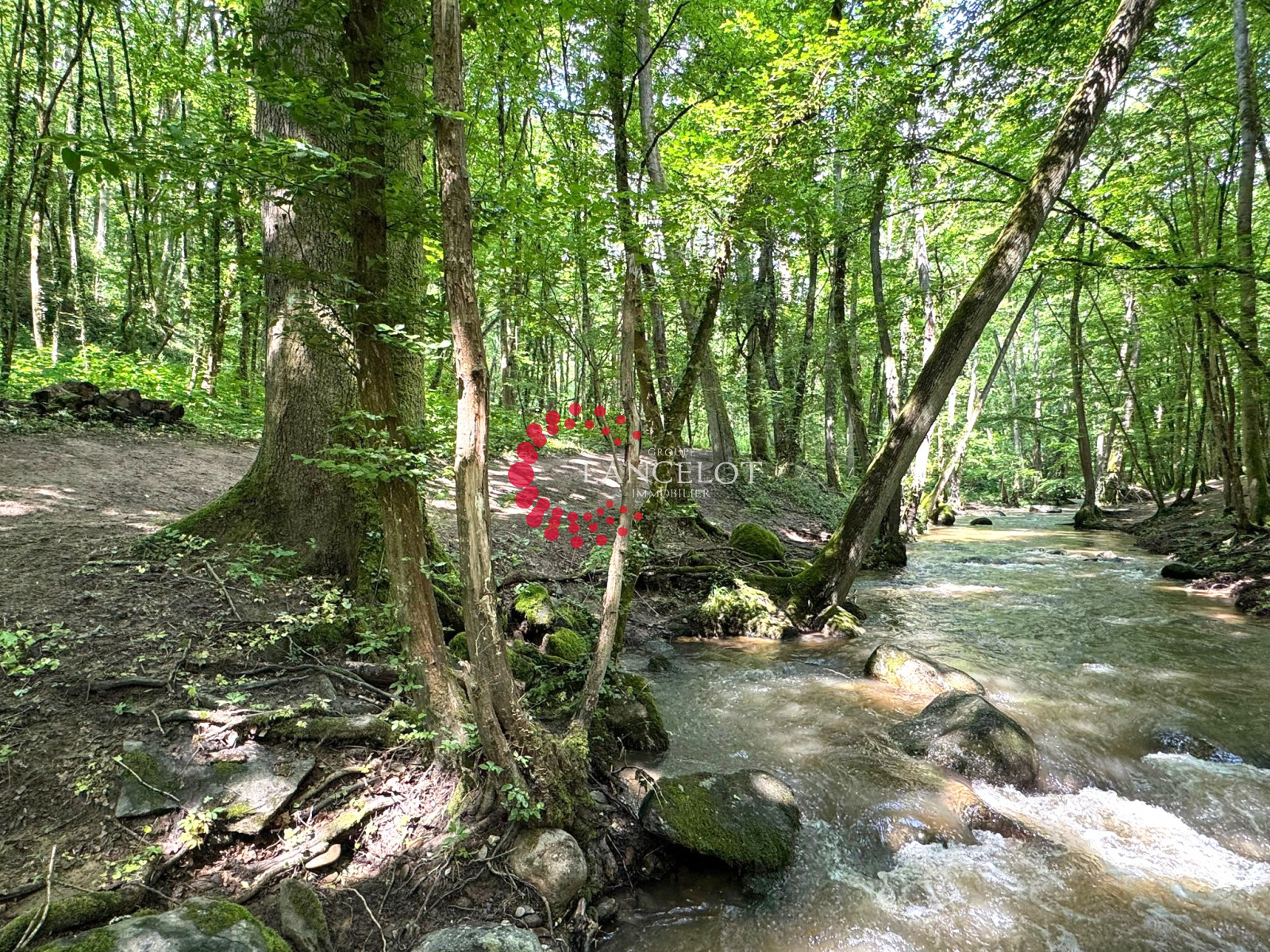 Image_23, Maison, Francheville, ref :763