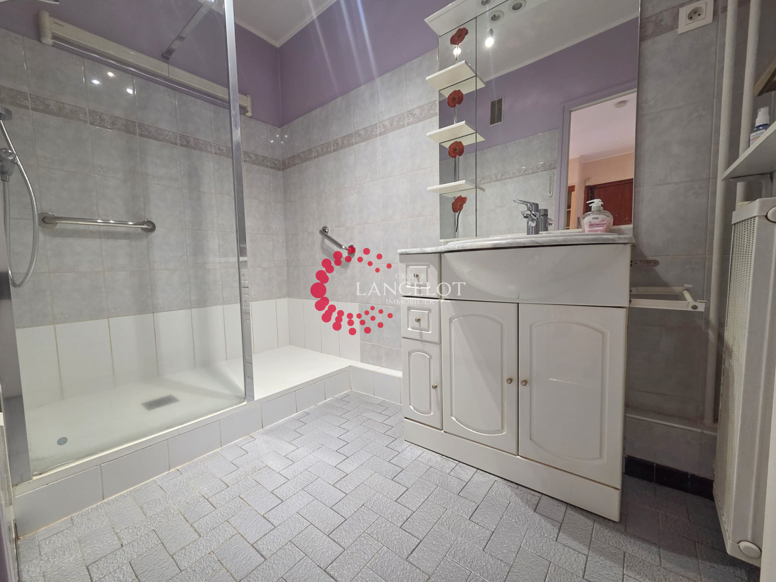 Image_8, Appartement, Sainte Foy lès Lyon, ref :833