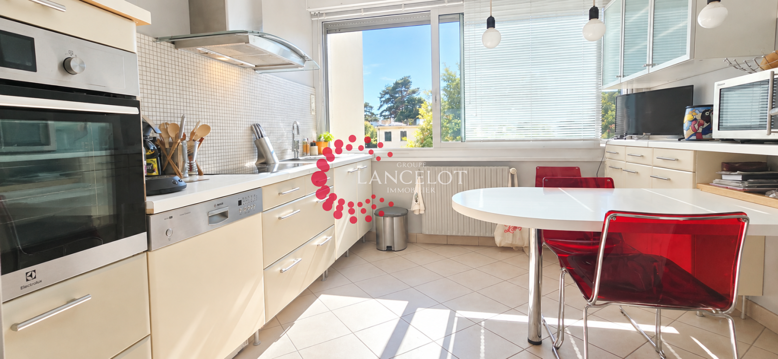 Image_10, Appartement, Sainte Foy lès Lyon, ref :890