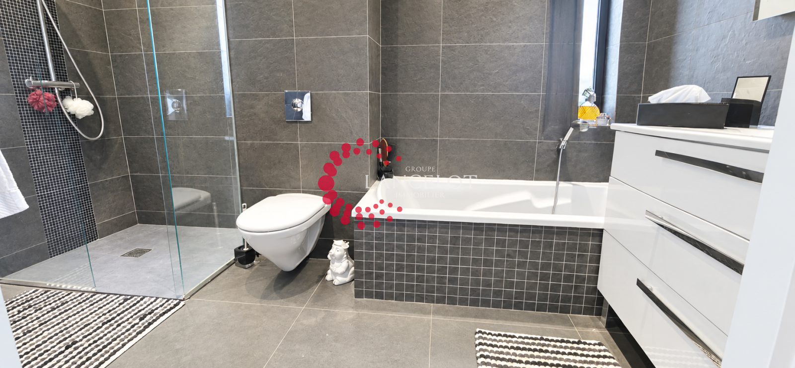 Image_14, Appartement, Sainte Foy lès Lyon, ref :890