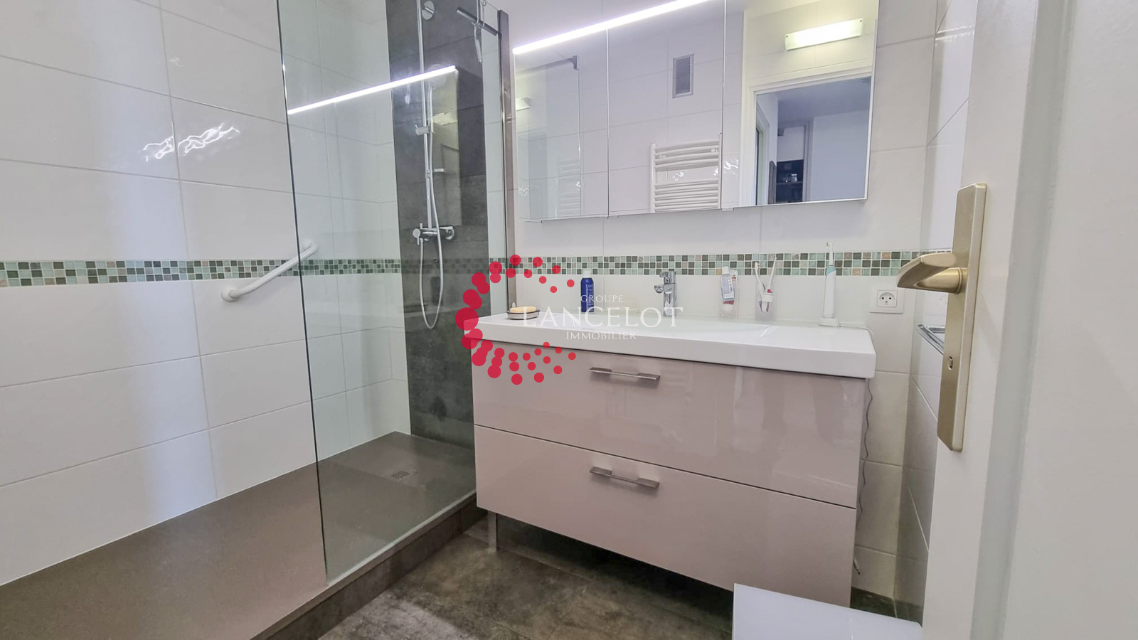 Image_9, Appartement, Sainte Foy lès Lyon, ref :639