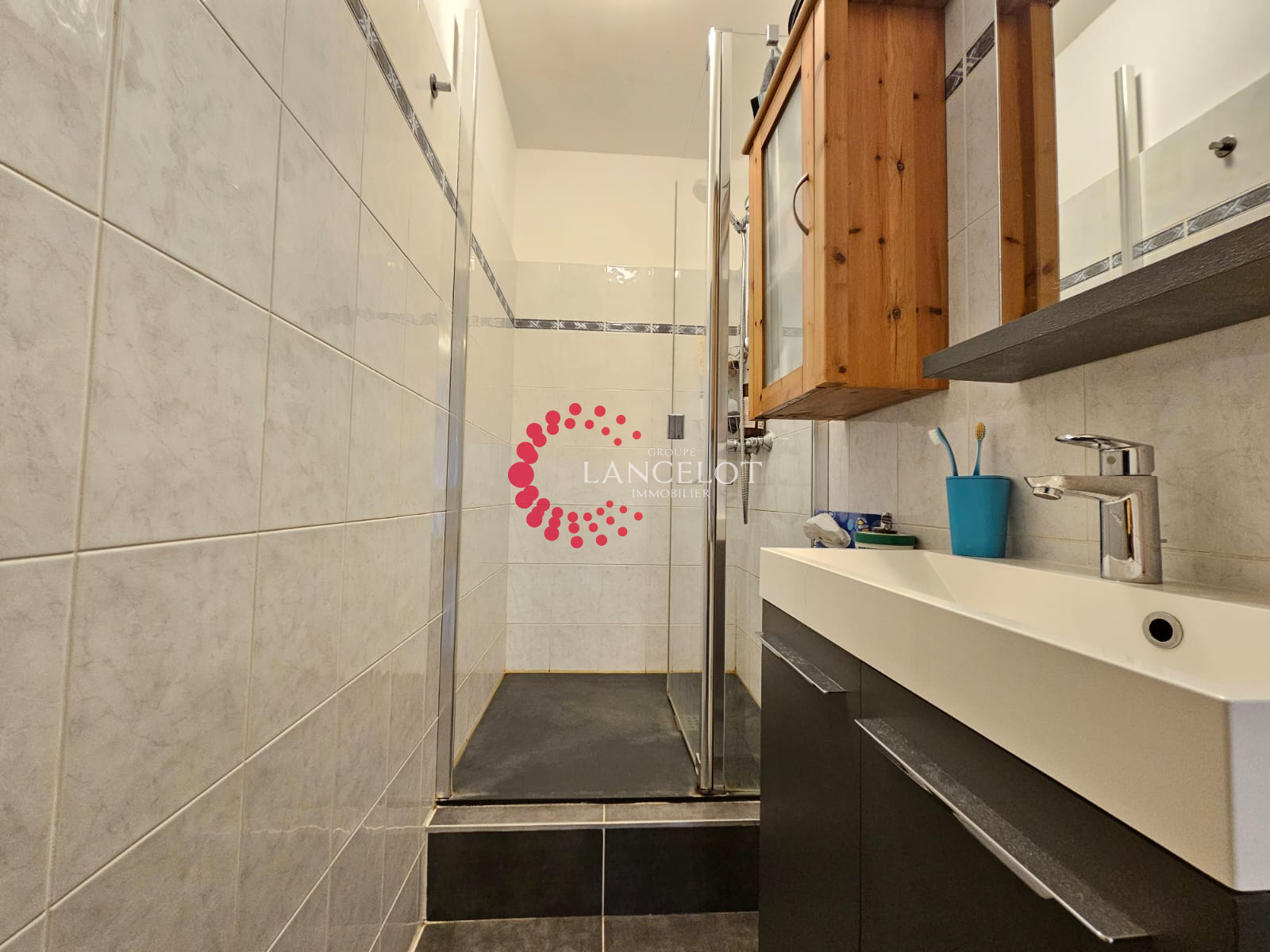 Image_10, Appartement, Sainte Foy lès Lyon, ref :802