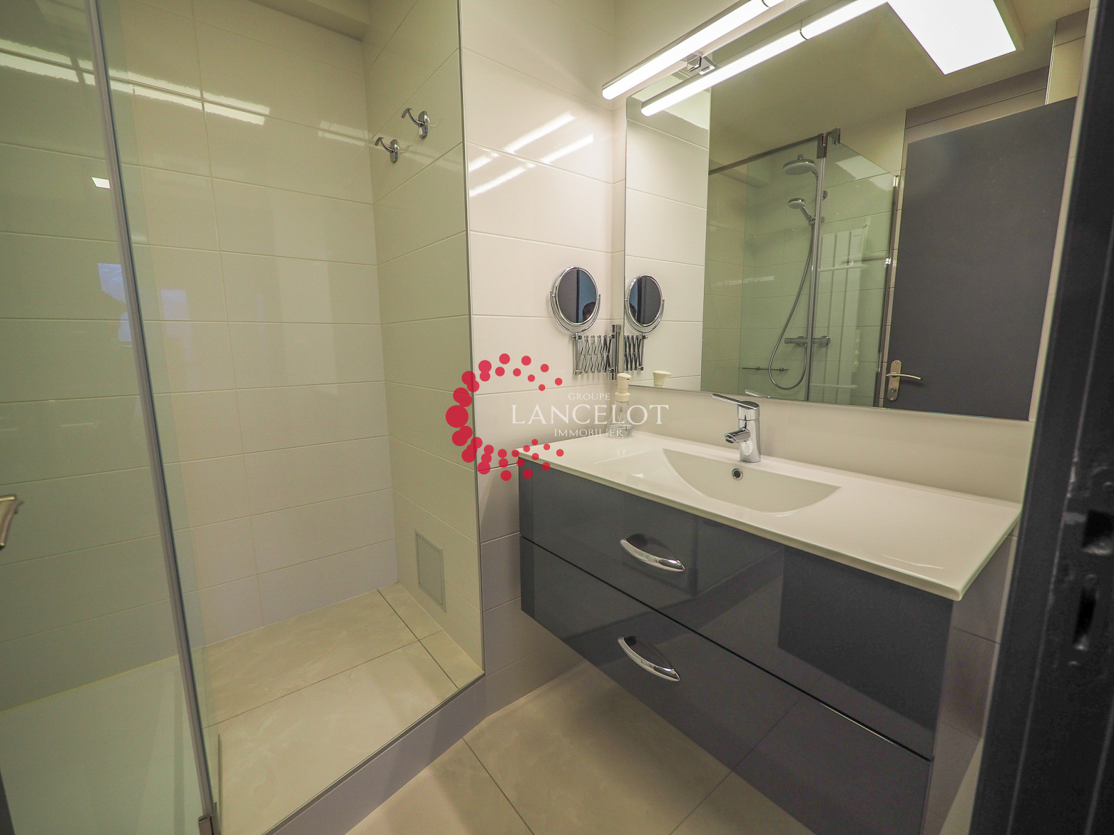 Image_8, Appartement, Sainte Foy lès Lyon, ref :789