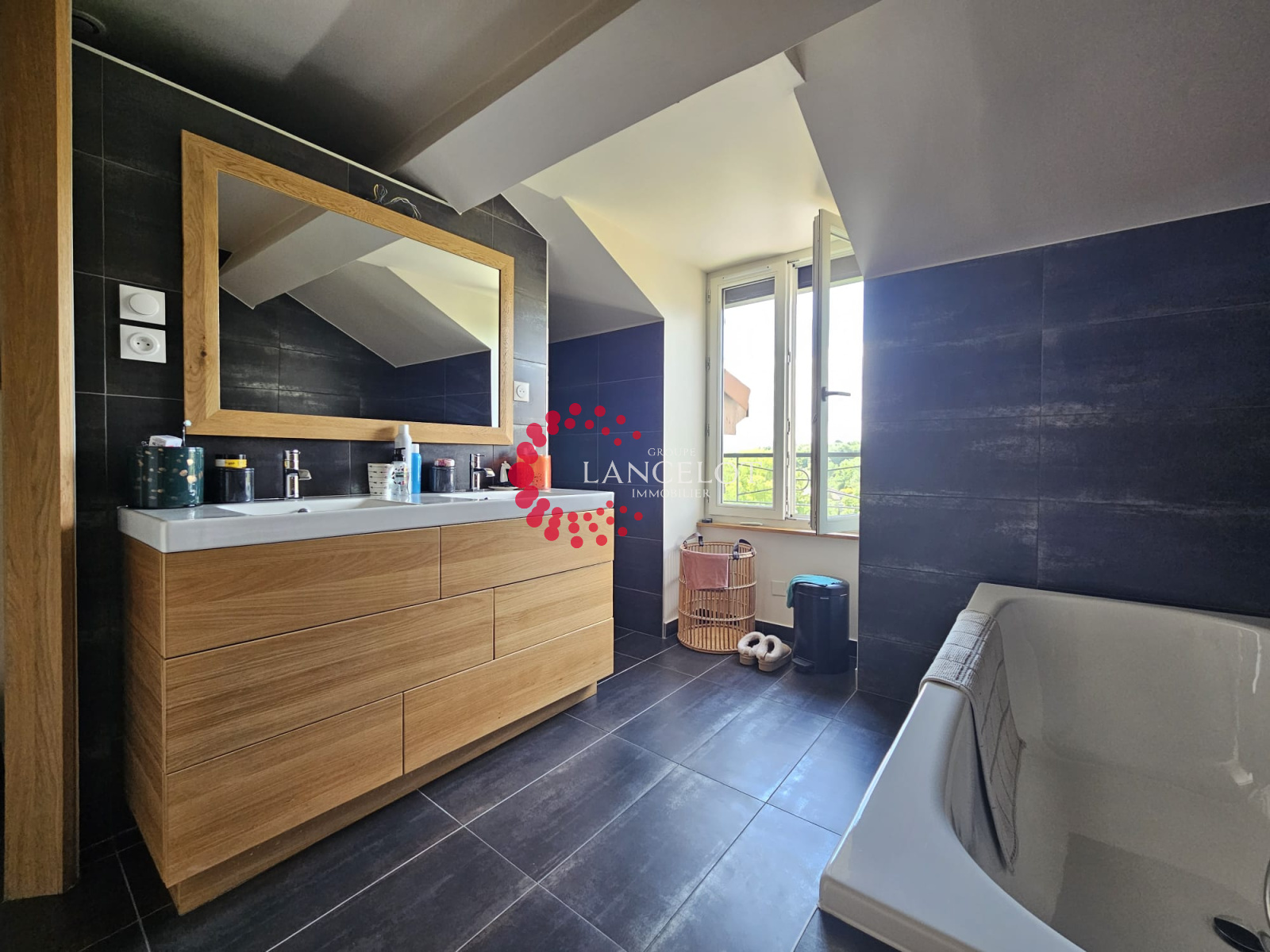 Image_13, Appartement, Sainte Foy lès Lyon, ref :853