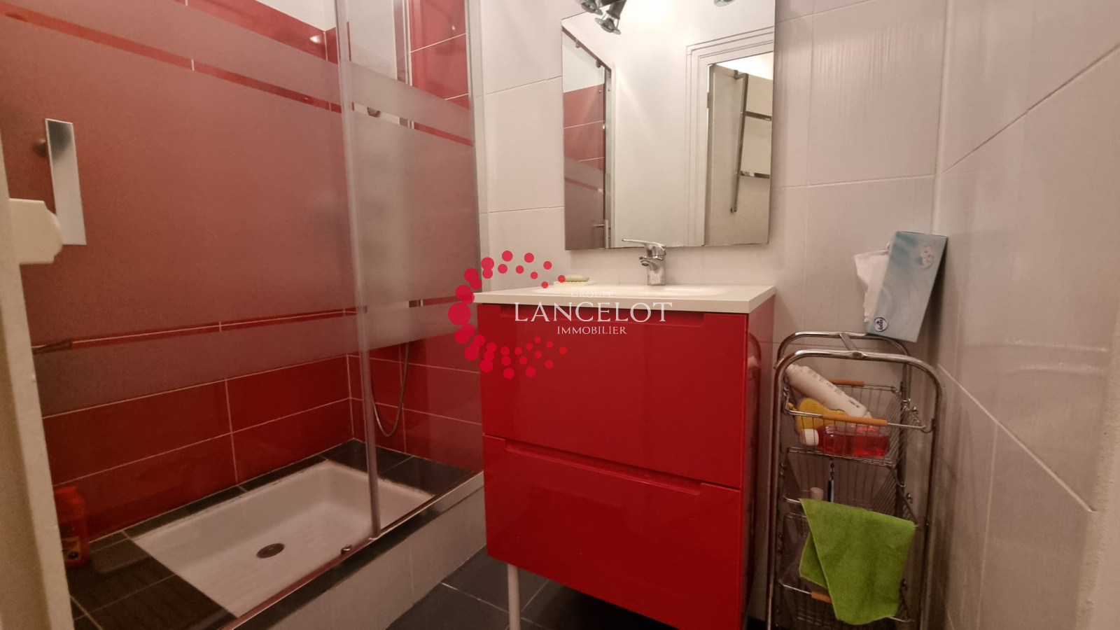 Image_14, Appartement, Sainte Foy lès Lyon, ref :743