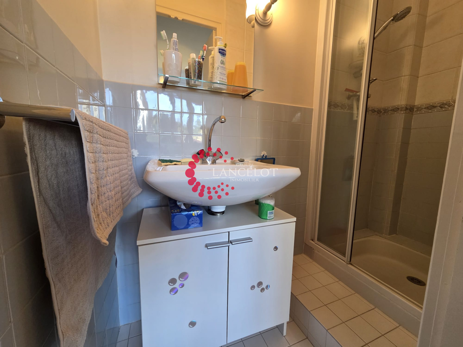 Image_14, Appartement, Sainte Foy lès Lyon, ref :838